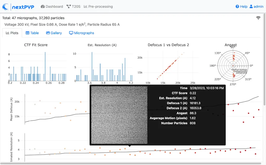 Dataset statistics