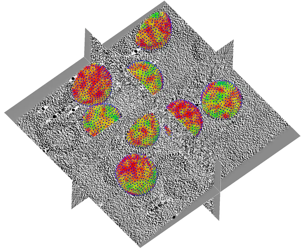 ArtiaX visualization of HIV1-Gag